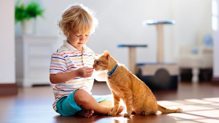 7 Best Pets To Gift Your Kids: Read On