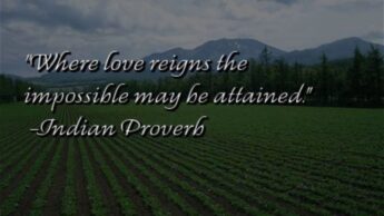 Ancient Wisdom: Some Of The Worlds Greatest Proverbs Right Here