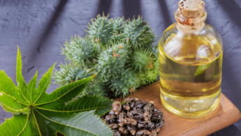 Pros & Cons of castor oil for your facial hair