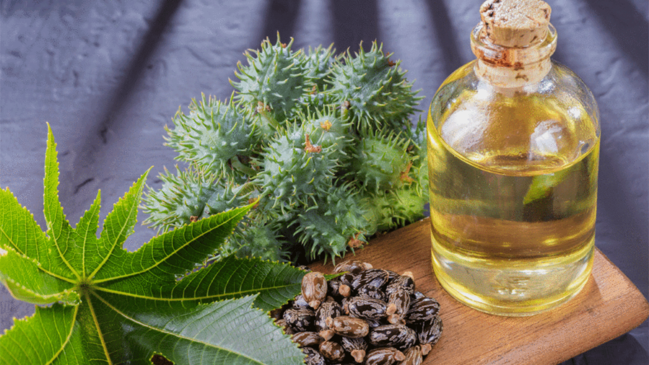 Pros & Cons of castor oil for your facial hair SuccessYeti