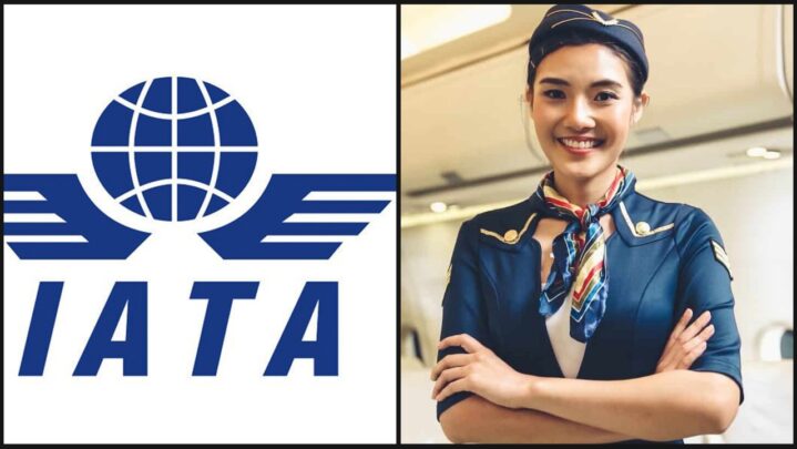 What Are The Advantages Of Doing IATA?
