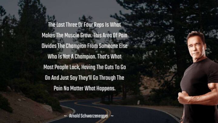 Inspiring Quotes On Fitness For Gym Lovers