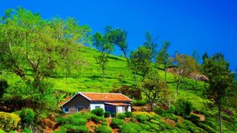 Eco-Friendly Habits To Adapt While On A Vacation