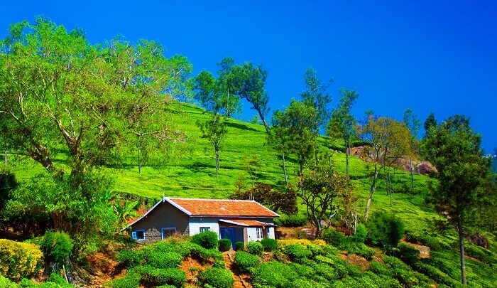 Eco-Friendly Habits To Adapt While On A Vacation