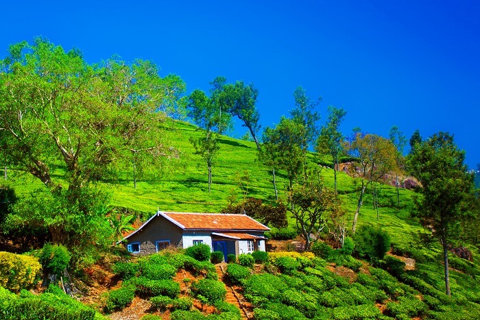 5 destinations in South India to visit for an unforgettable vacation! 1