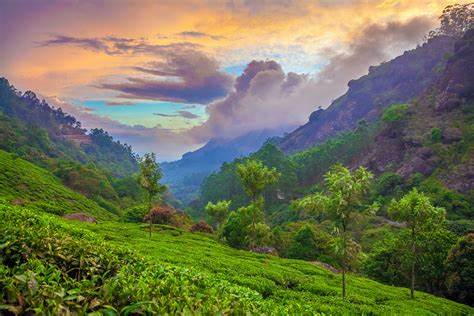 If You Haven’t Visited Kerala Yet, What Are You Doing In Life, Check Out These Beautiful Places 4