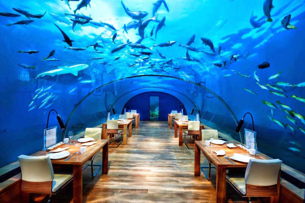 5 Best Underwater Restaurants In Maldives You Must Visit