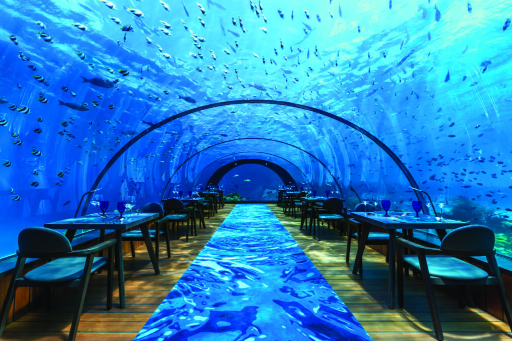 5 Best Underwater Restaurants In Maldives You Must Visit 1