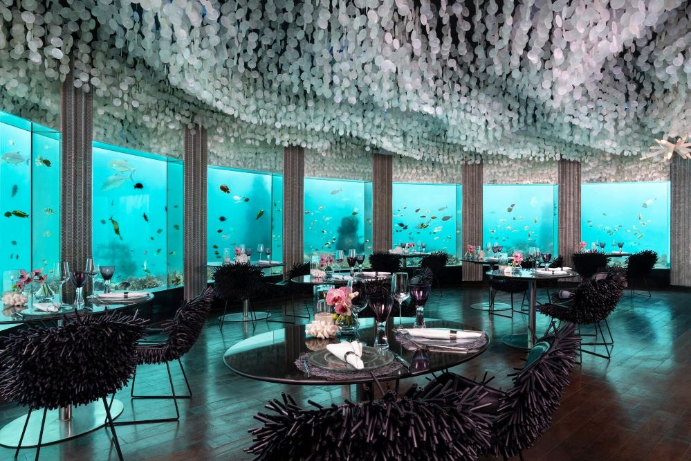 5 Best Underwater Restaurants In Maldives You Must Visit 2