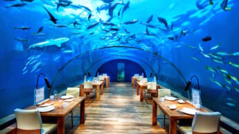 Mistakes To Avoid If Planning To Visit Maldives