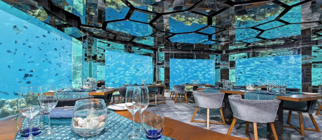 5 Best Underwater Restaurants In Maldives You Must Visit 4
