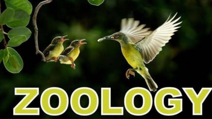 Job Opportunities in Zoology