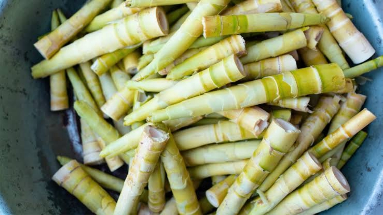 Nutritional Value & Health Benefits Of Bamboo Shoots Part 2 SuccessYeti