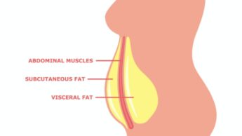 Did You Know The Term Visceral Fat? Guide For Beginners
