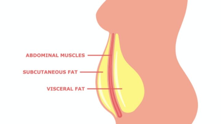 Did You Know The Term Visceral Fat? Guide For Beginners