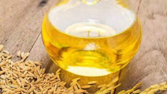 5 Reasons Why Rice Bran Oil Should Be Your Right Cooking Oil