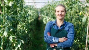 5 Types Of Work Horticulturists Are Involved In