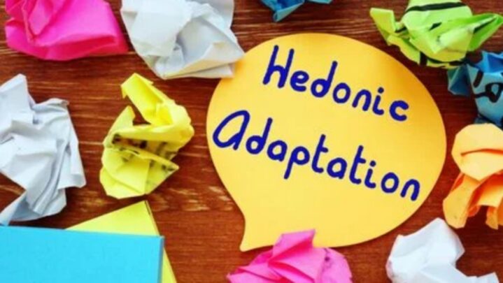 What Is Hedonic Adaptation: Click To Know
