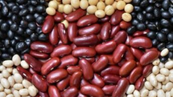 Foods & Herbs To Regenerate Damaged Cartilage