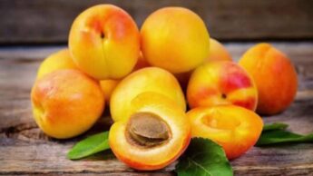 Super Health Benefits Of Apricot: Read