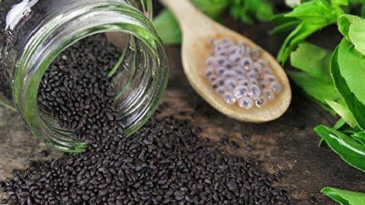 Reasons Why Basil/Sabja Seeds Should Be In Your Diet During Summer