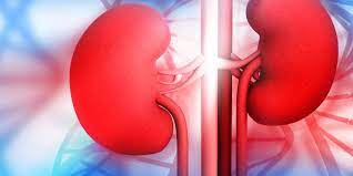According To A Study, Chronic Kidney Disease Is Becoming More Common Among Children