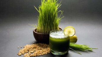 5 Drinks To Boost Your Brainpower In The Morning (Besides Coffee)