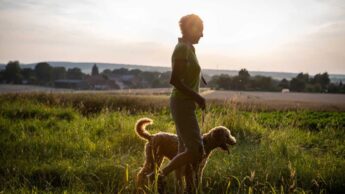 Study: Dogs With More Engaged Owners Receive More Exercise