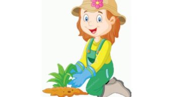 This Summer, Start A New Pastime By Learning How To Plant