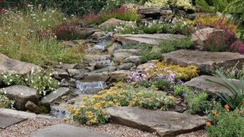 Here’s How To Create A Rock Garden In Your Own Backyard