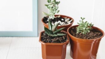 Tips For Reducing Pollution In Your Home Over The Holidays