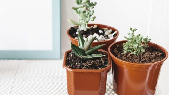 Tips For Reducing Pollution In Your Home Over The Holidays