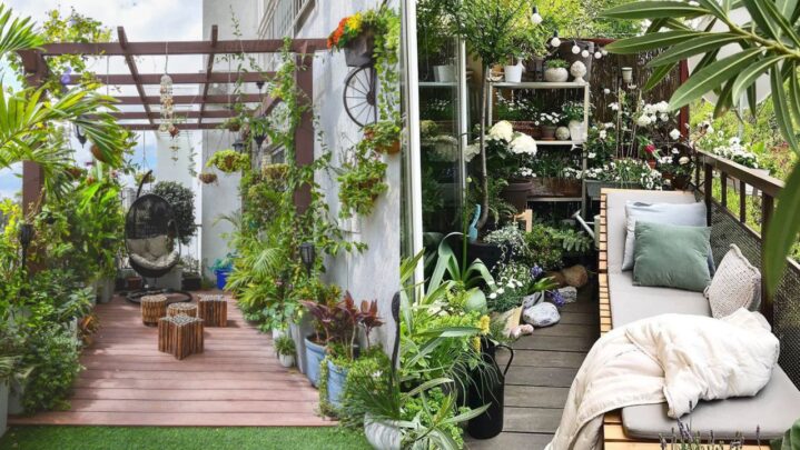 4 Things to Think About When Gardening On A Balcony