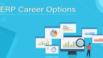 Finding Employment As An ERP Analyst