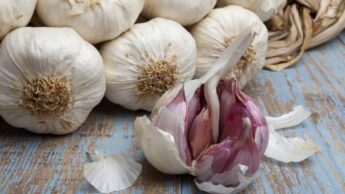 Garlic Is A Superfood Because Of These 6 Health Advantages