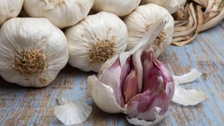 Garlic Is A Superfood Because Of These 6 Health Advantages