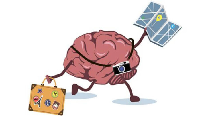 Your Brain Can Expand If You Start Traveling More Frequently