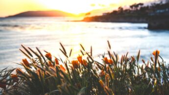 Prayer With The Inner Peace Fellowship