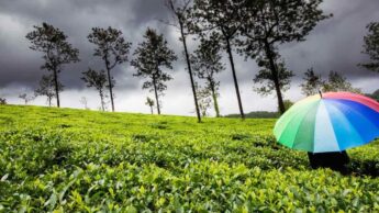These 5 Locations In India Let You Fully Enjoy The Monsoon Season