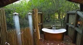 How To Include Nature In Your Bathroom Design In 4 Simple Ways