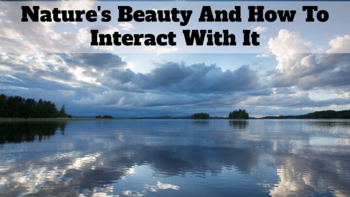 Nature’s Beauty And How To Interact With It