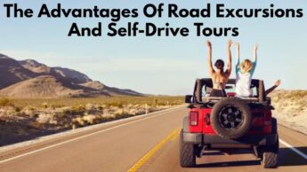 The Advantages Of Road Excursions And Self-Drive Tours