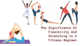 The Significance Of Flexibility And Stretching In A Fitness Regimen