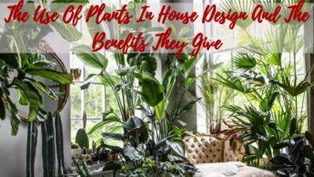 The Use Of Plants In House Design And The Benefits They Give
