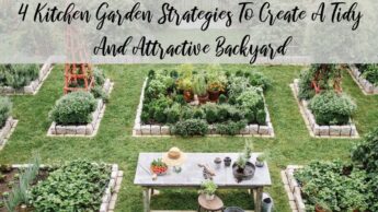 4 Kitchen Garden Strategies To Create A Tidy And Attractive Backyard