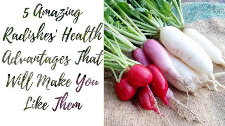 5 Amazing Radishes’ Health Advantages That Will Make You Like Them