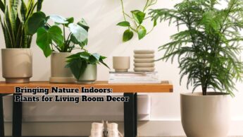 Bringing Nature Indoors: Plants for Living Room Decor