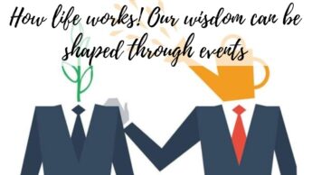 Experience’s function in wisdom: How life works! Our wisdom can be shaped through events