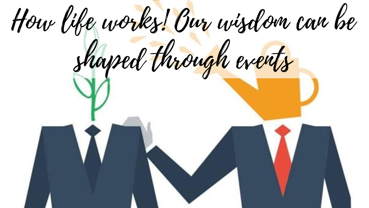 Experience's function in wisdom: How life works! Our wisdom can be shaped through events