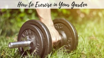 How to Exercise in Your Garden